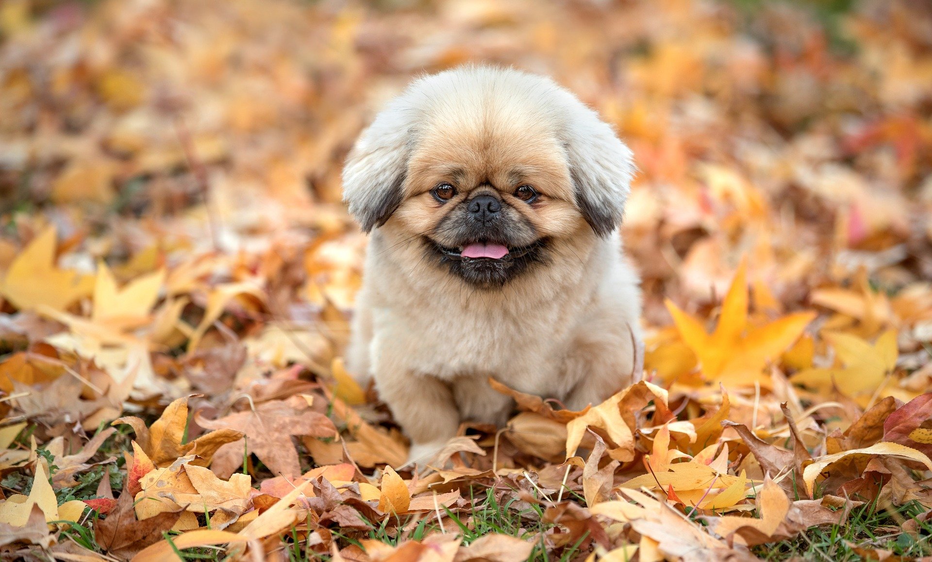 Leadership Excellence